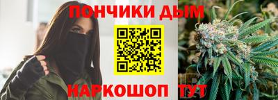 индика Гусиноозёрск