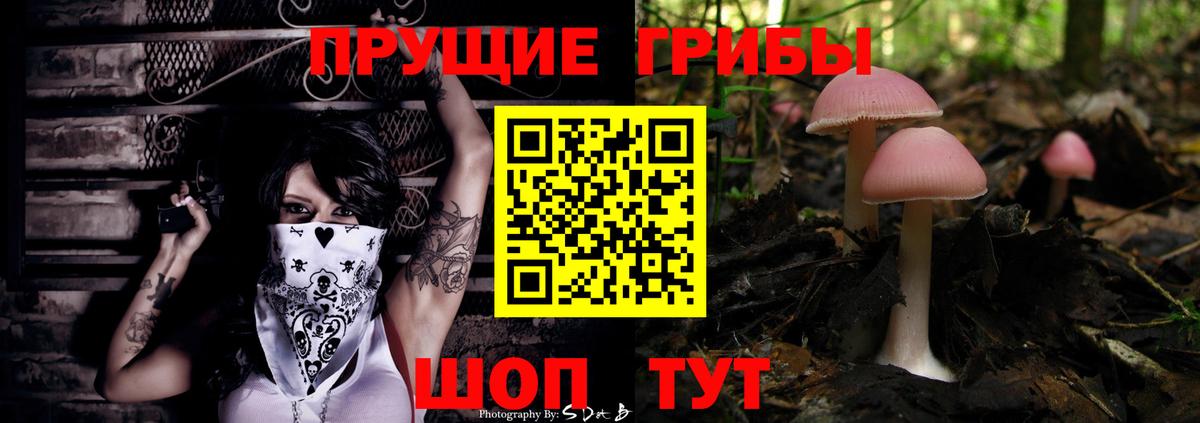 Иваново  Псилоцибиновые грибы MAGIC MUSHROOMS  Вход с VPN 